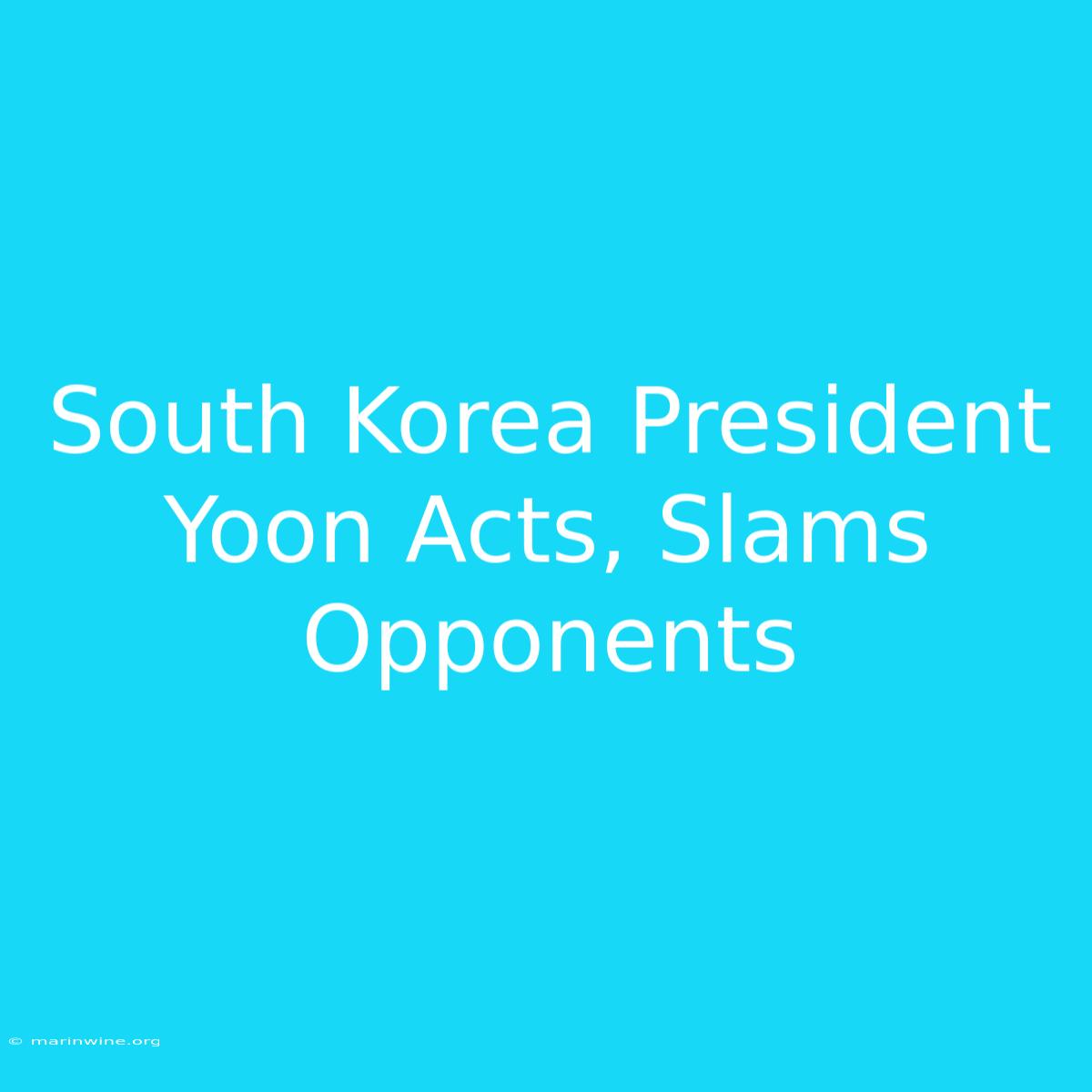 South Korea President Yoon Acts, Slams Opponents