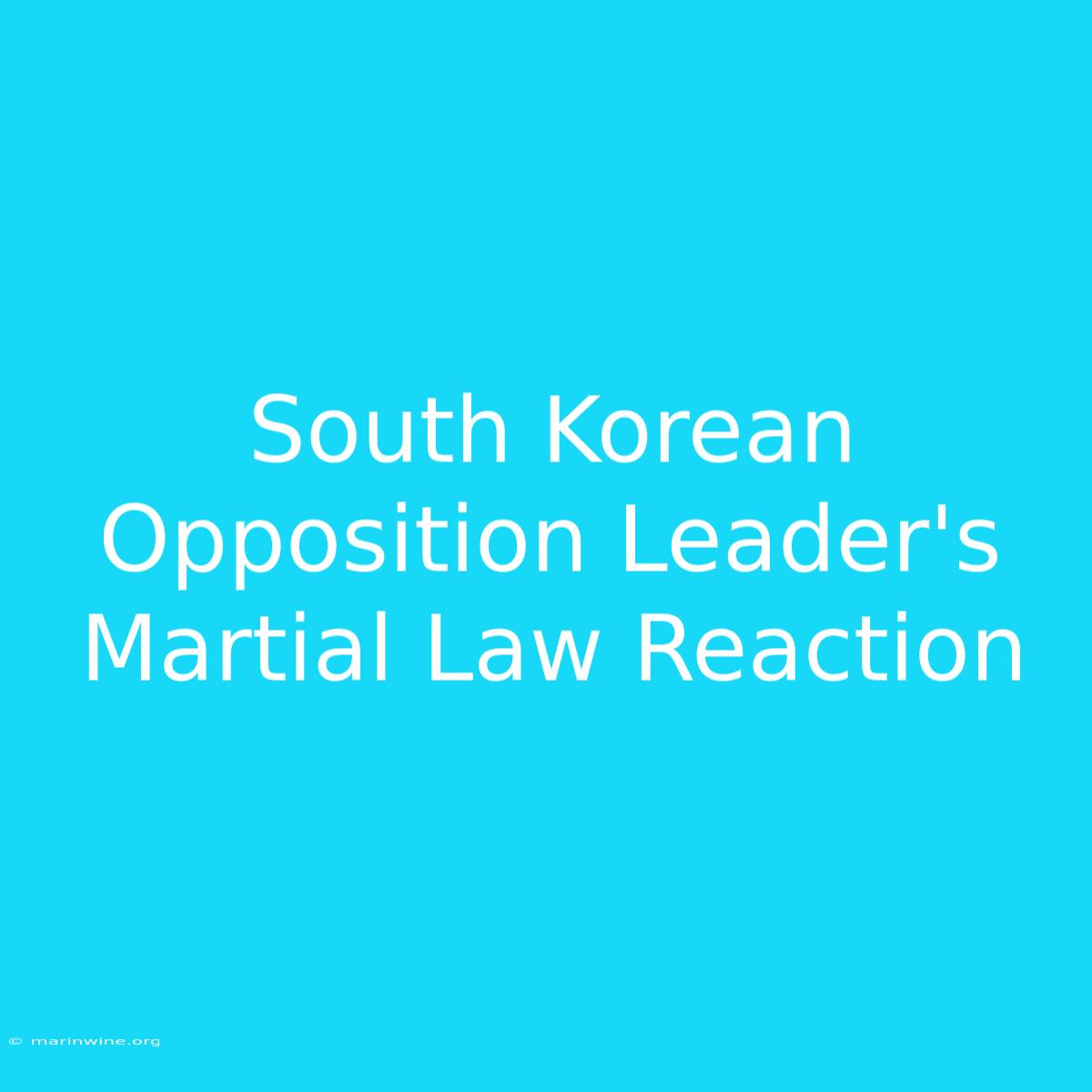 South Korean Opposition Leader's Martial Law Reaction