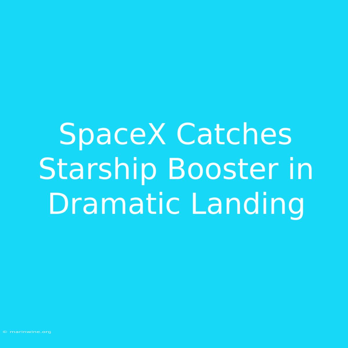 SpaceX Catches Starship Booster In Dramatic Landing