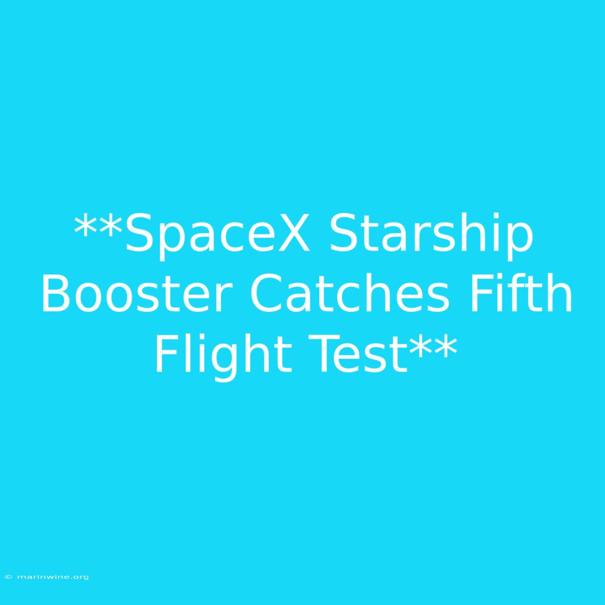 **SpaceX Starship Booster Catches Fifth Flight Test**