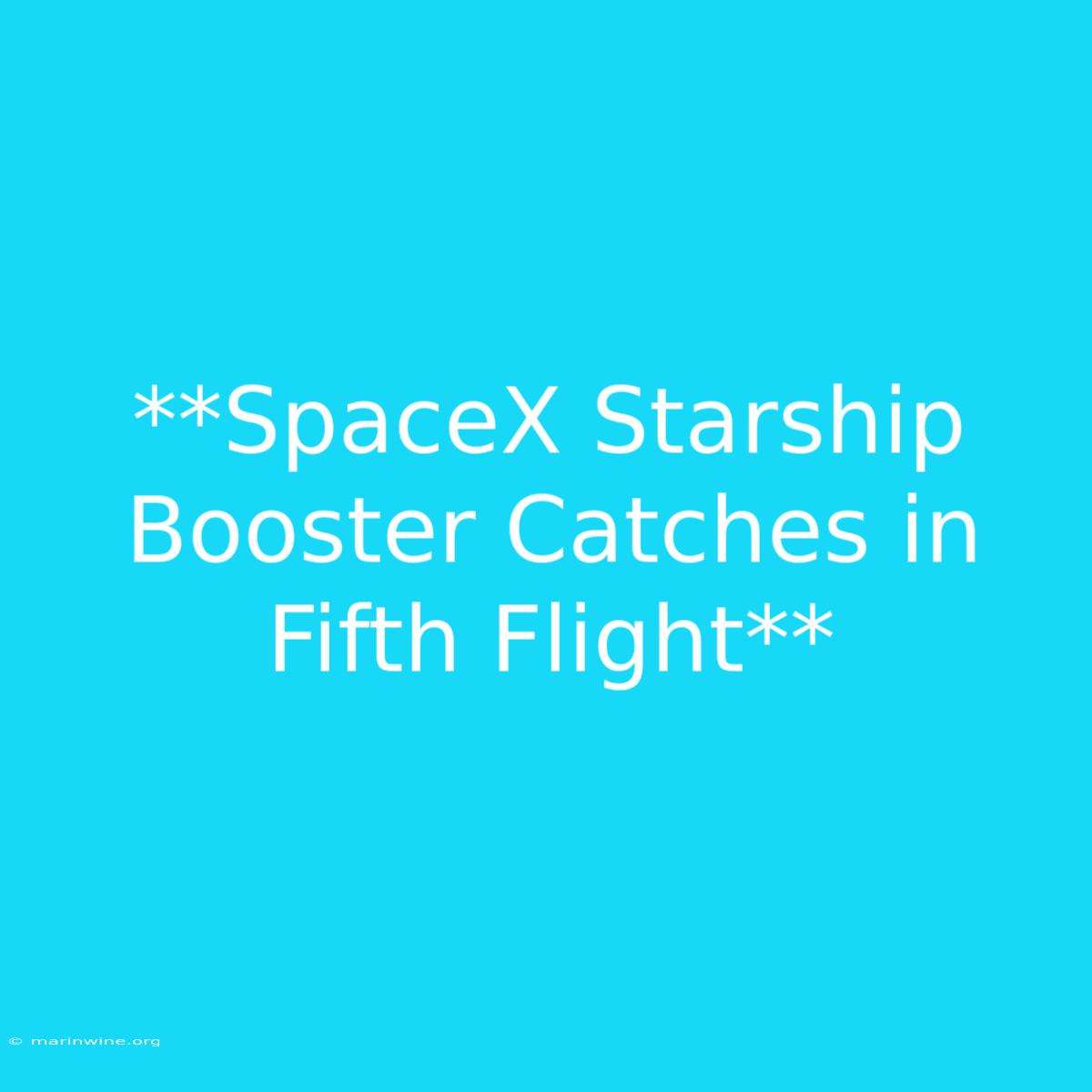 **SpaceX Starship Booster Catches In Fifth Flight** 