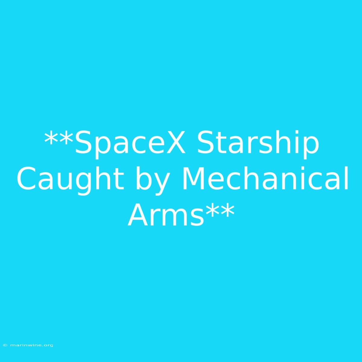 **SpaceX Starship Caught By Mechanical Arms**