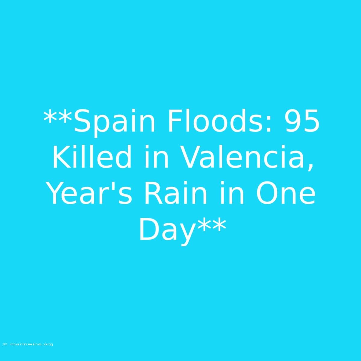 **Spain Floods: 95 Killed In Valencia, Year's Rain In One Day**