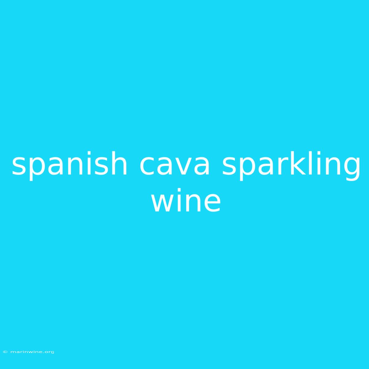 Spanish Cava Sparkling Wine