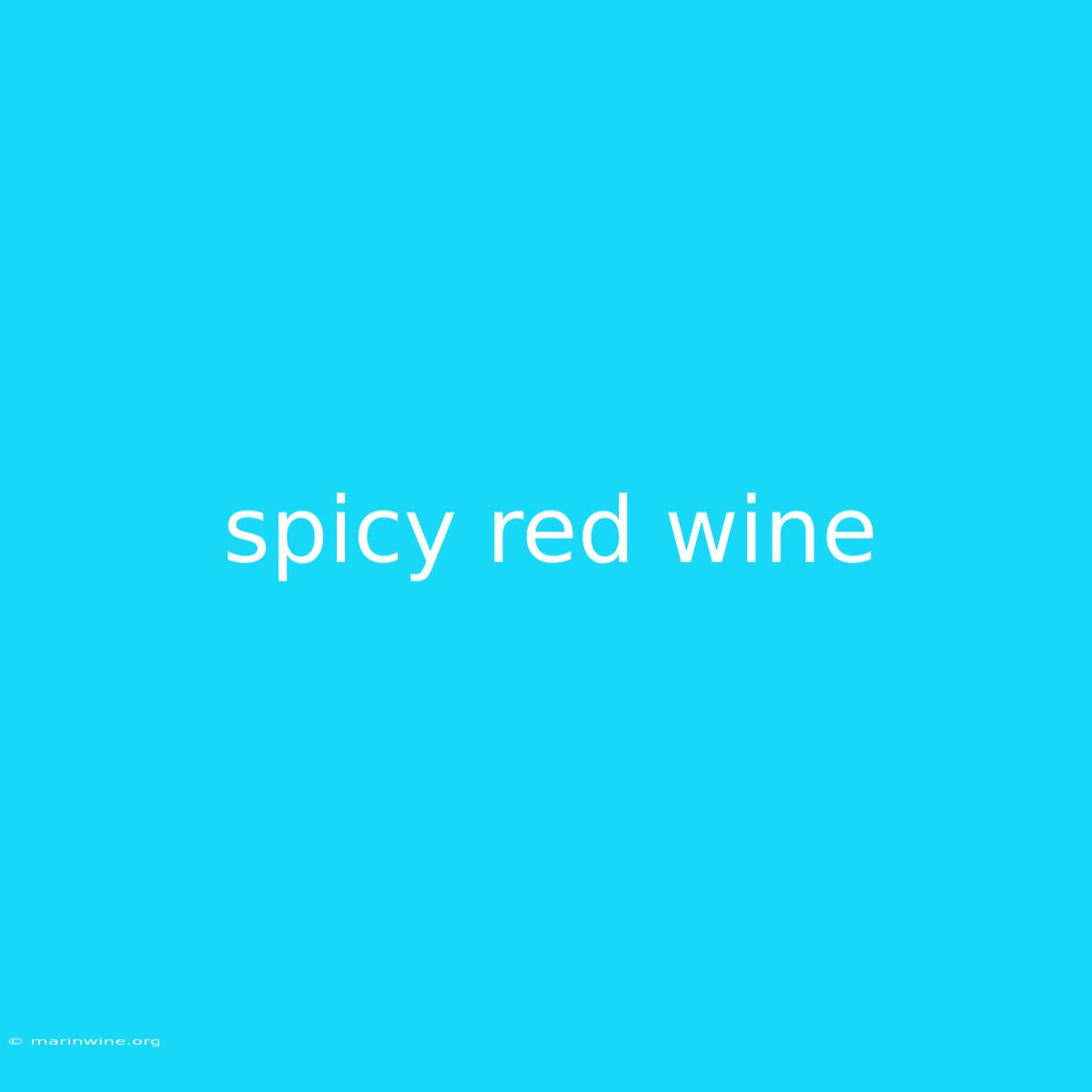 Spicy Red Wine