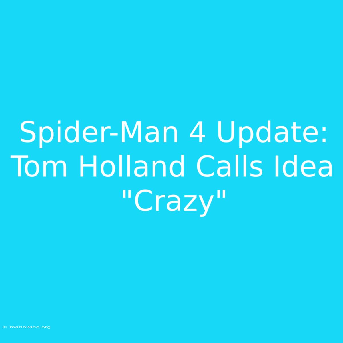 Spider-Man 4 Update: Tom Holland Calls Idea 