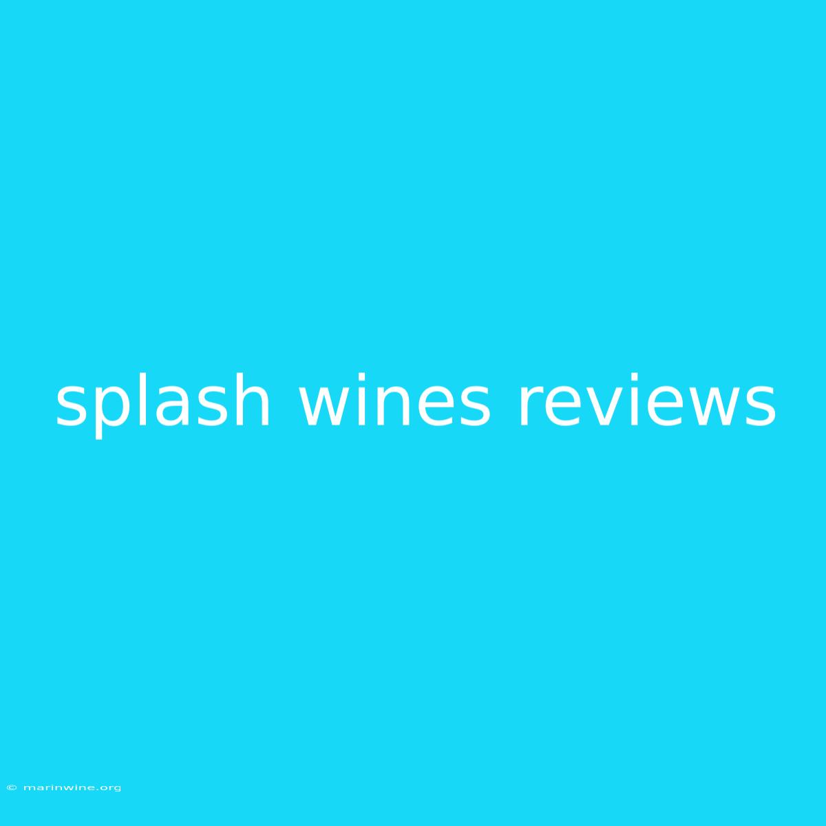 Splash Wines Reviews