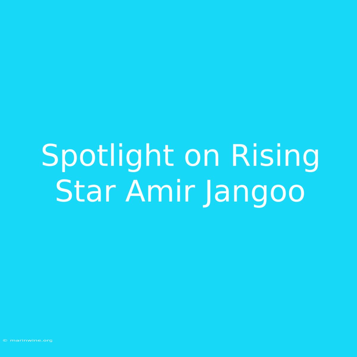 Spotlight On Rising Star Amir Jangoo