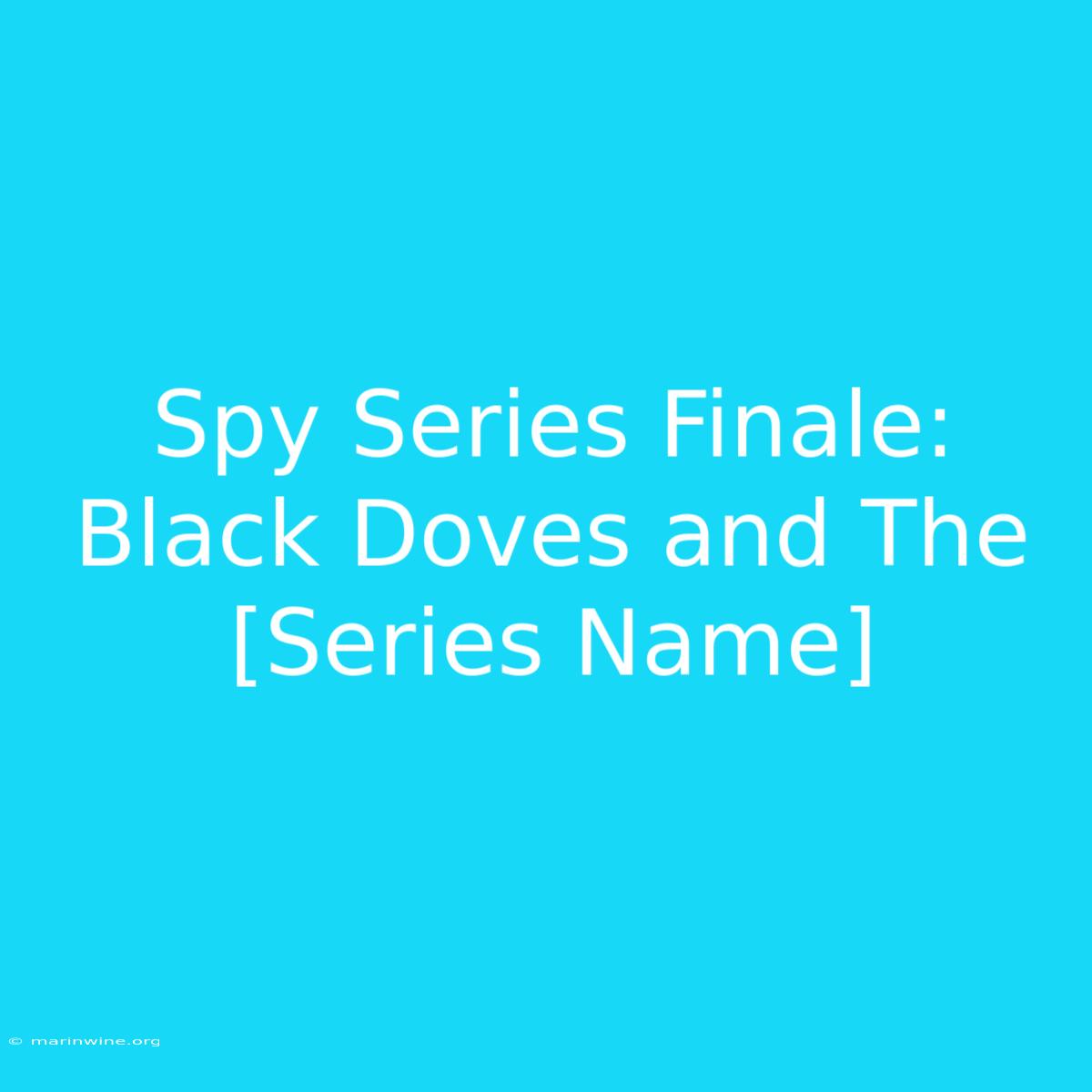 Spy Series Finale: Black Doves And The [Series Name]