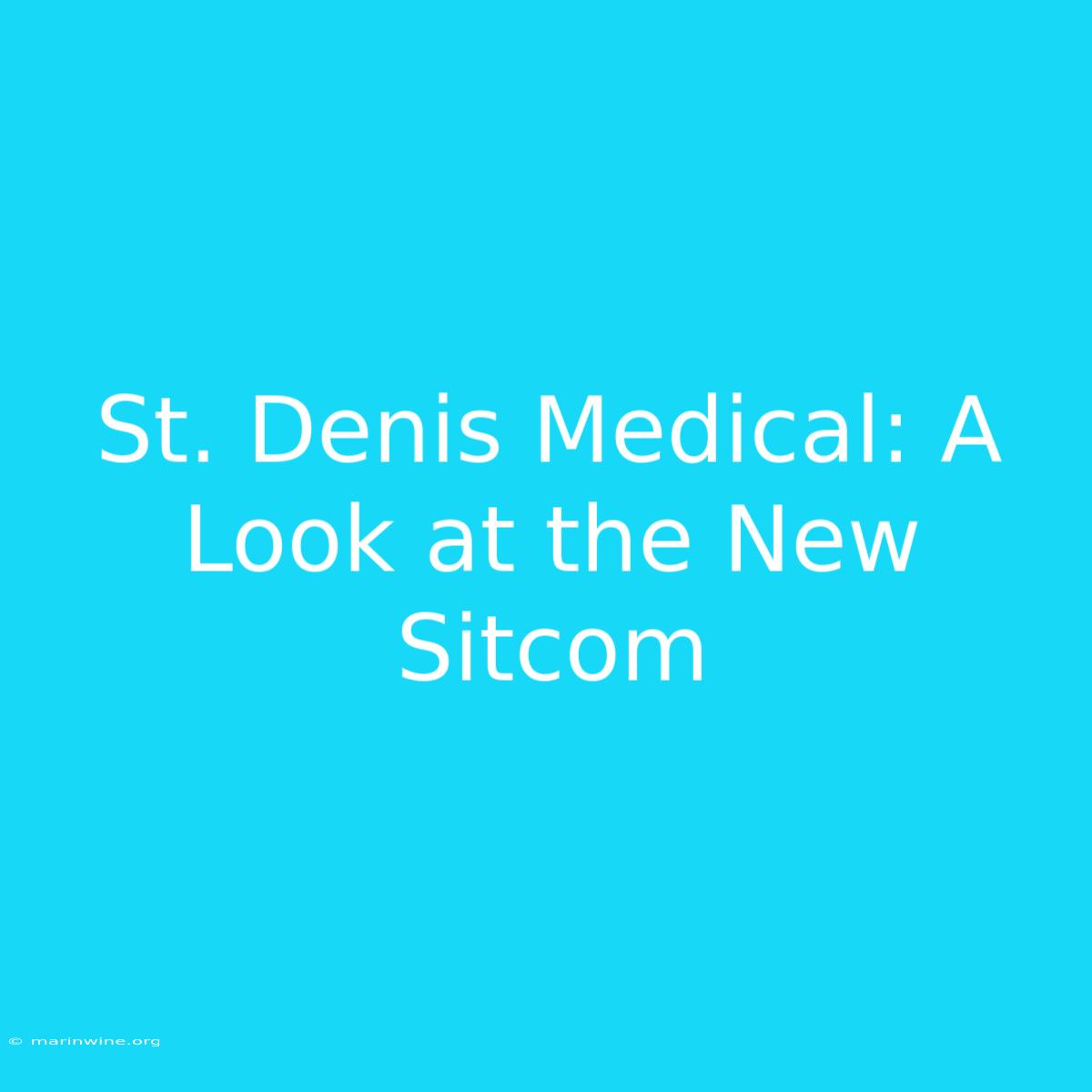 St. Denis Medical: A Look At The New Sitcom 