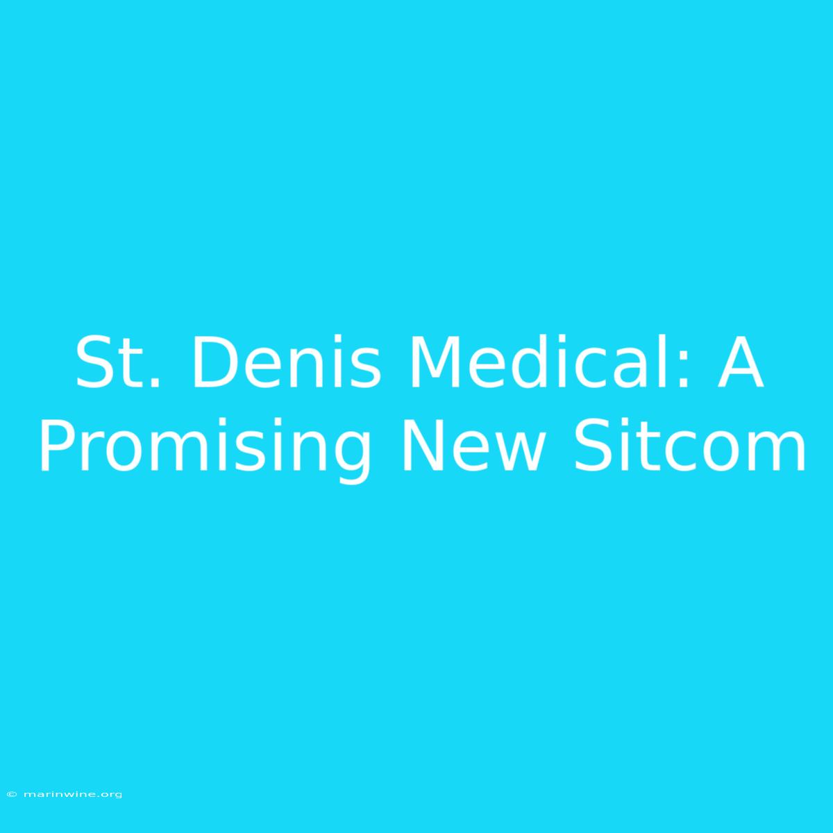 St. Denis Medical: A Promising New Sitcom