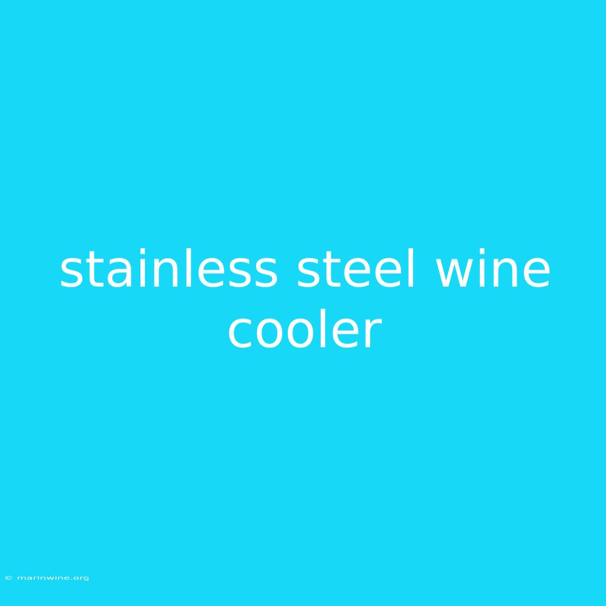 Stainless Steel Wine Cooler