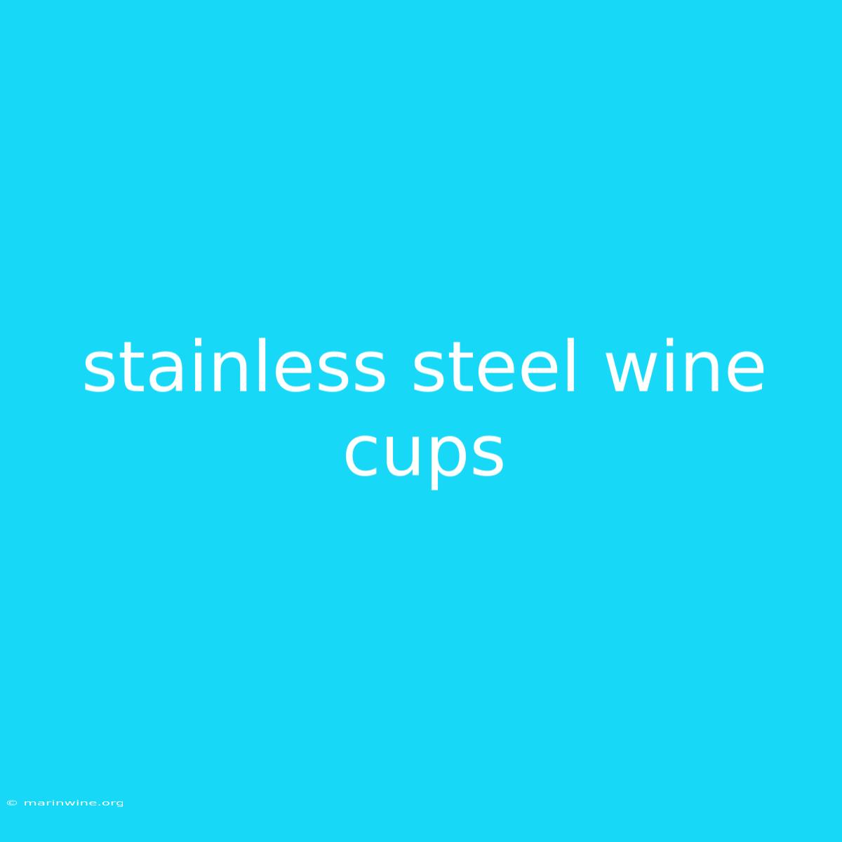 Stainless Steel Wine Cups