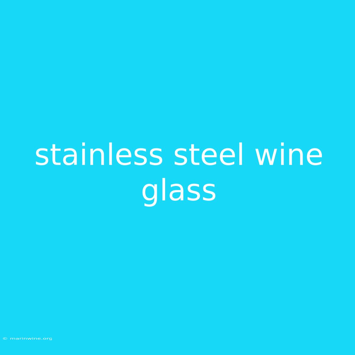 Stainless Steel Wine Glass