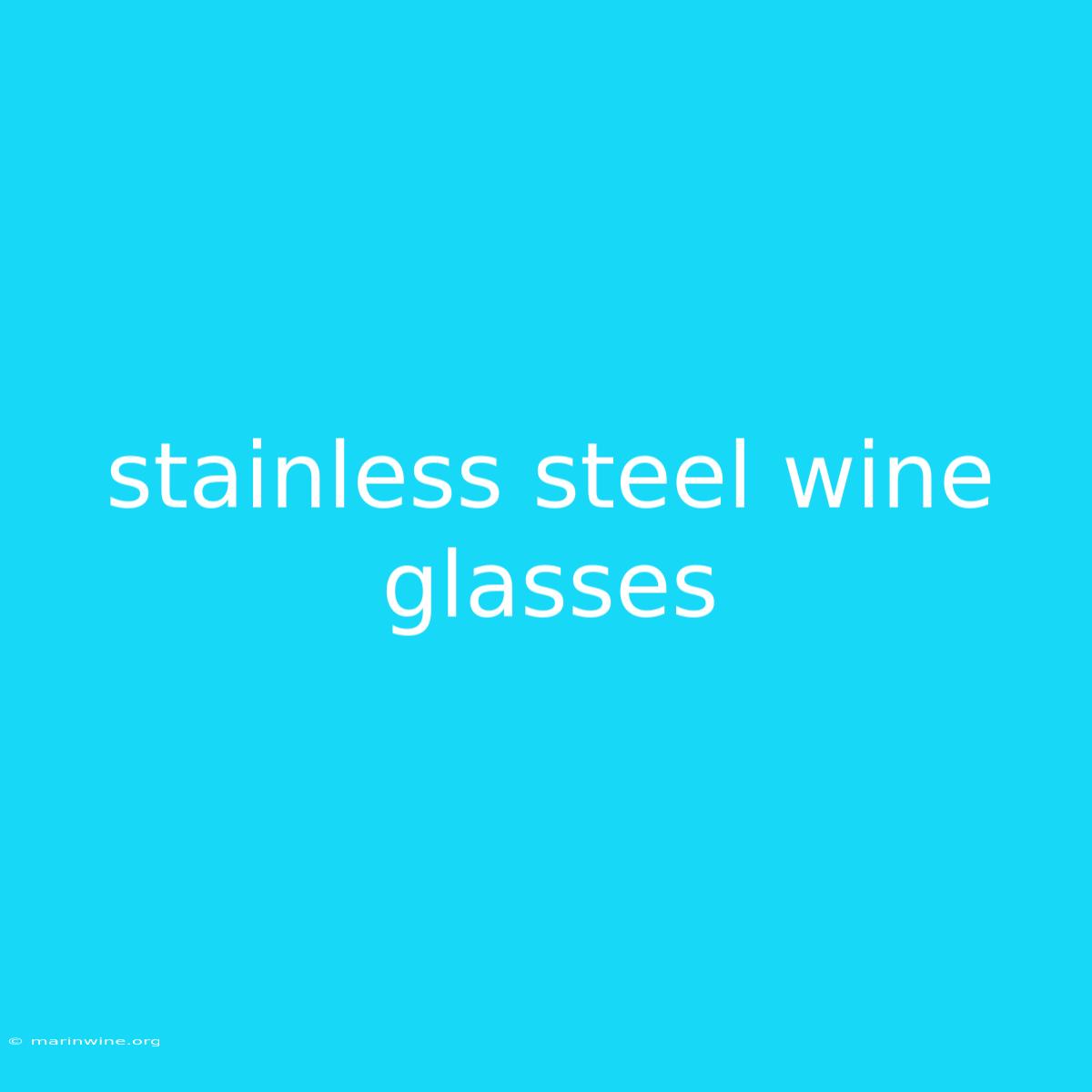 Stainless Steel Wine Glasses