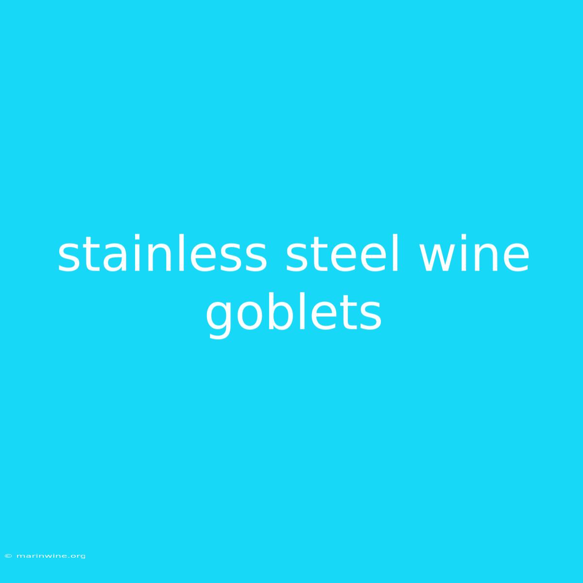 Stainless Steel Wine Goblets