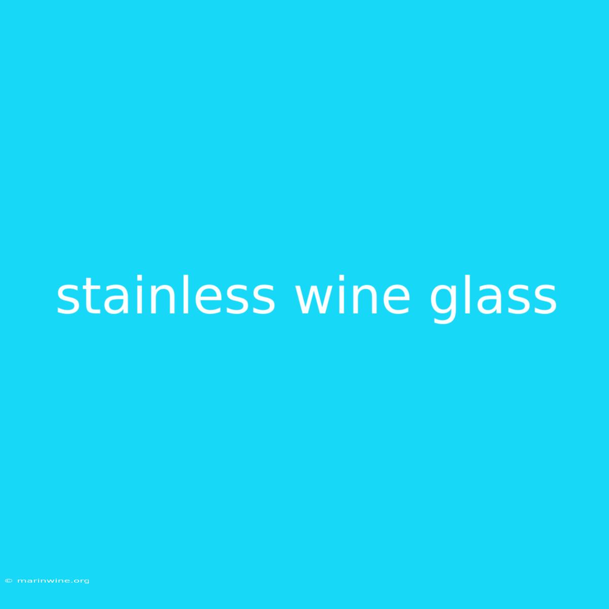 Stainless Wine Glass