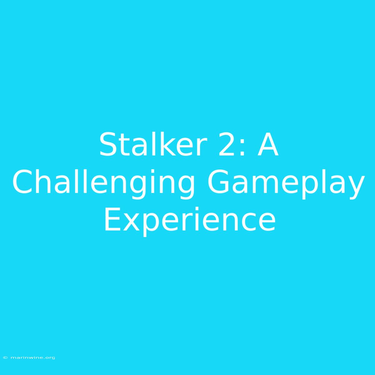 Stalker 2: A Challenging Gameplay Experience