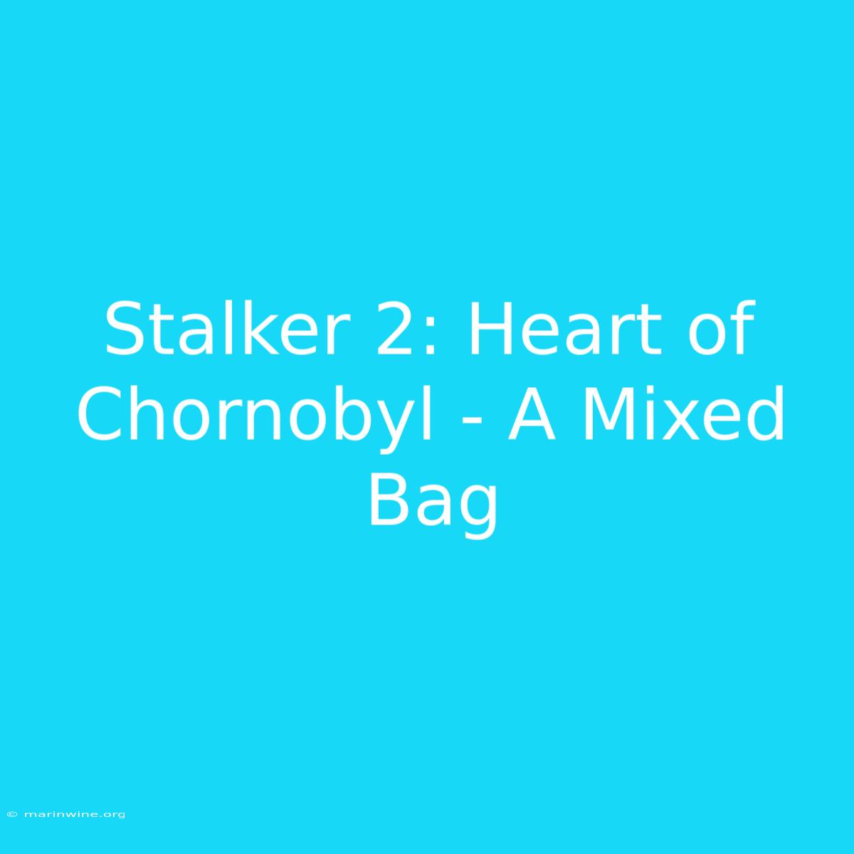 Stalker 2: Heart Of Chornobyl - A Mixed Bag