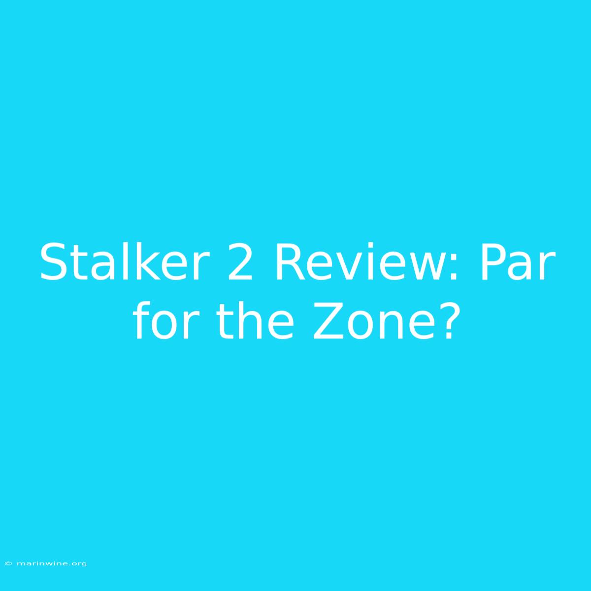 Stalker 2 Review: Par For The Zone?