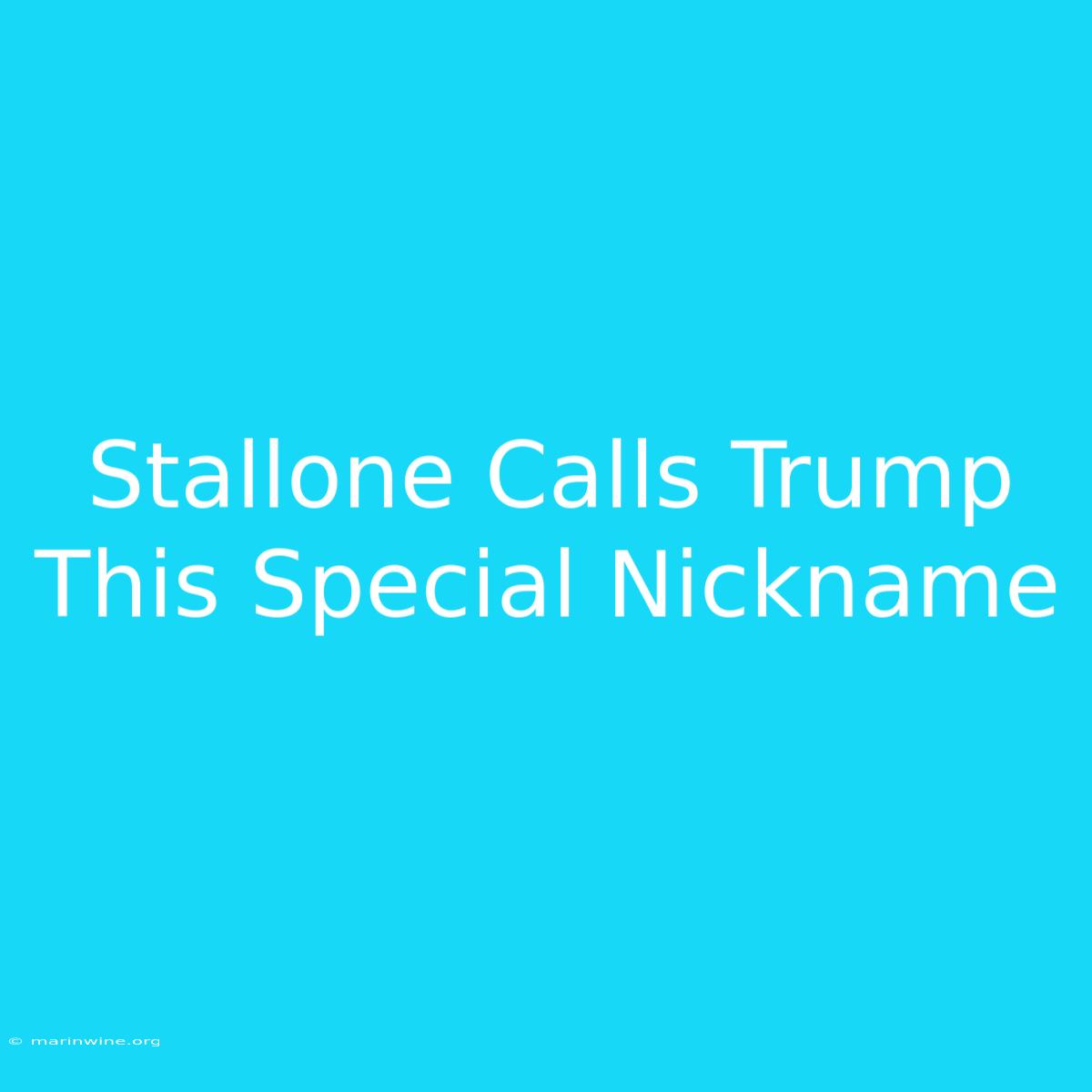 Stallone Calls Trump This Special Nickname