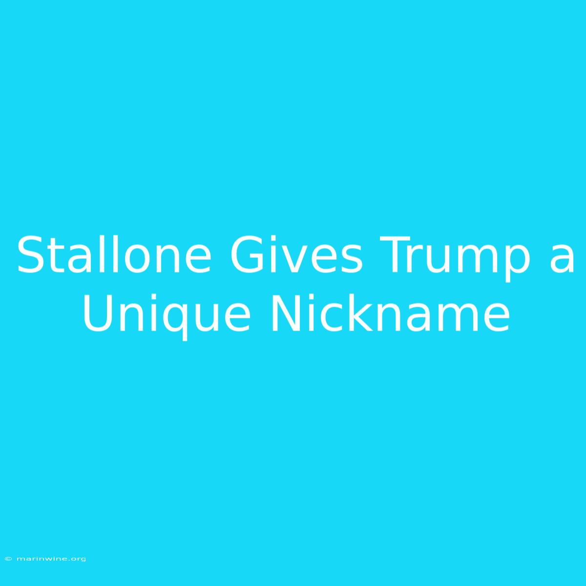 Stallone Gives Trump A Unique Nickname  