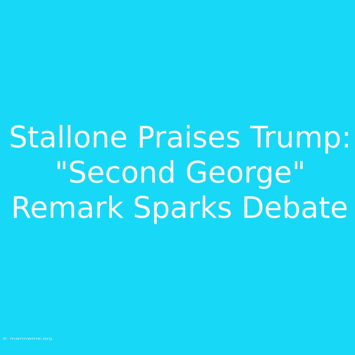 Stallone Praises Trump: 