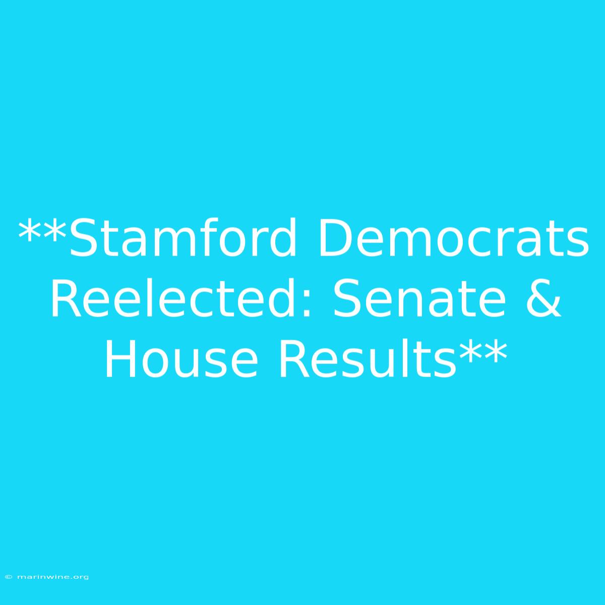 **Stamford Democrats Reelected: Senate & House Results**