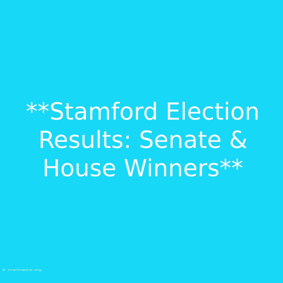 **Stamford Election Results: Senate & House Winners**