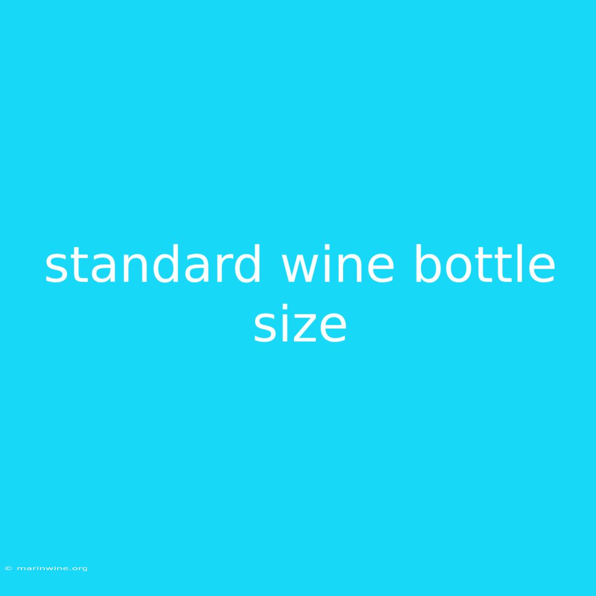 Standard Wine Bottle Size