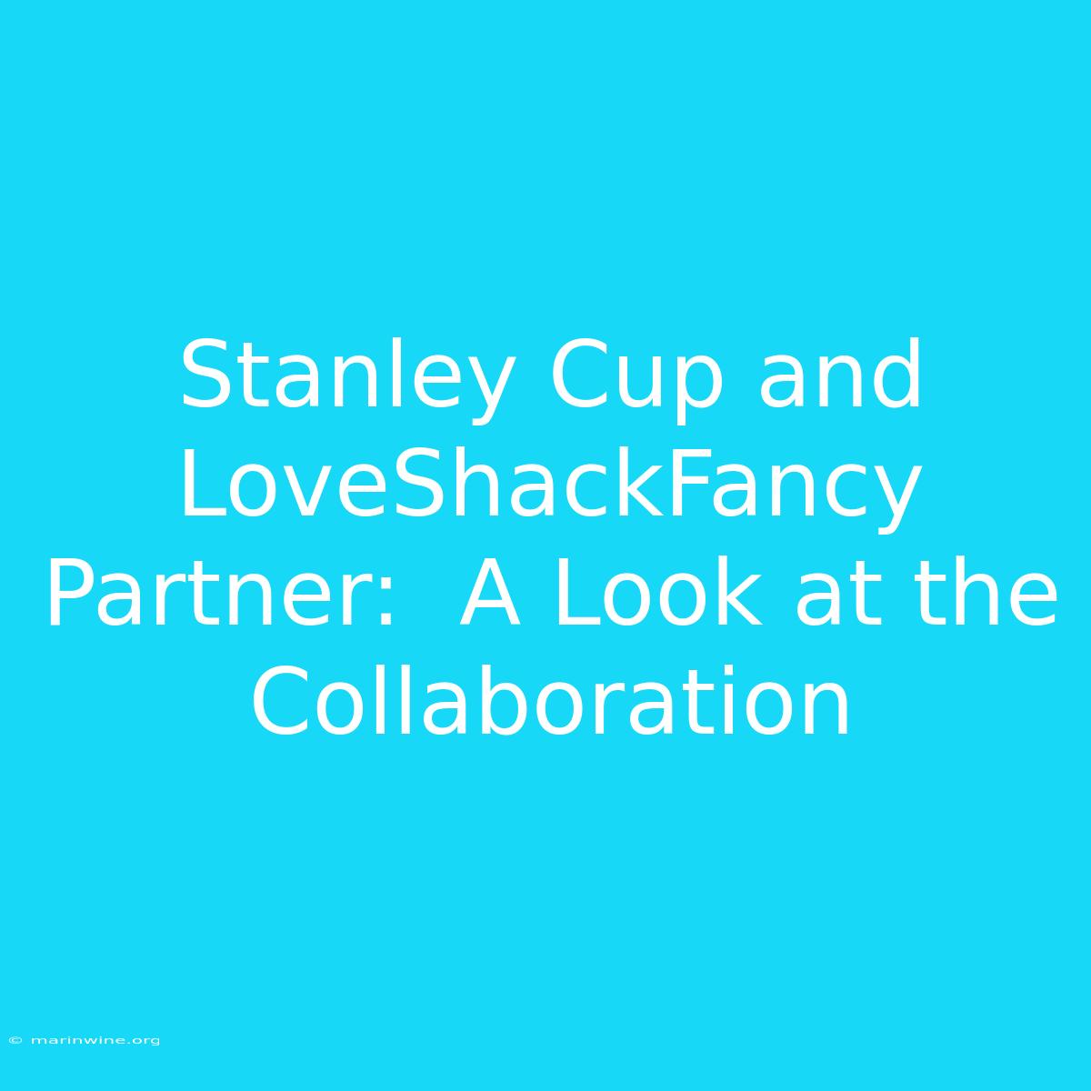 Stanley Cup And LoveShackFancy Partner:  A Look At The Collaboration 