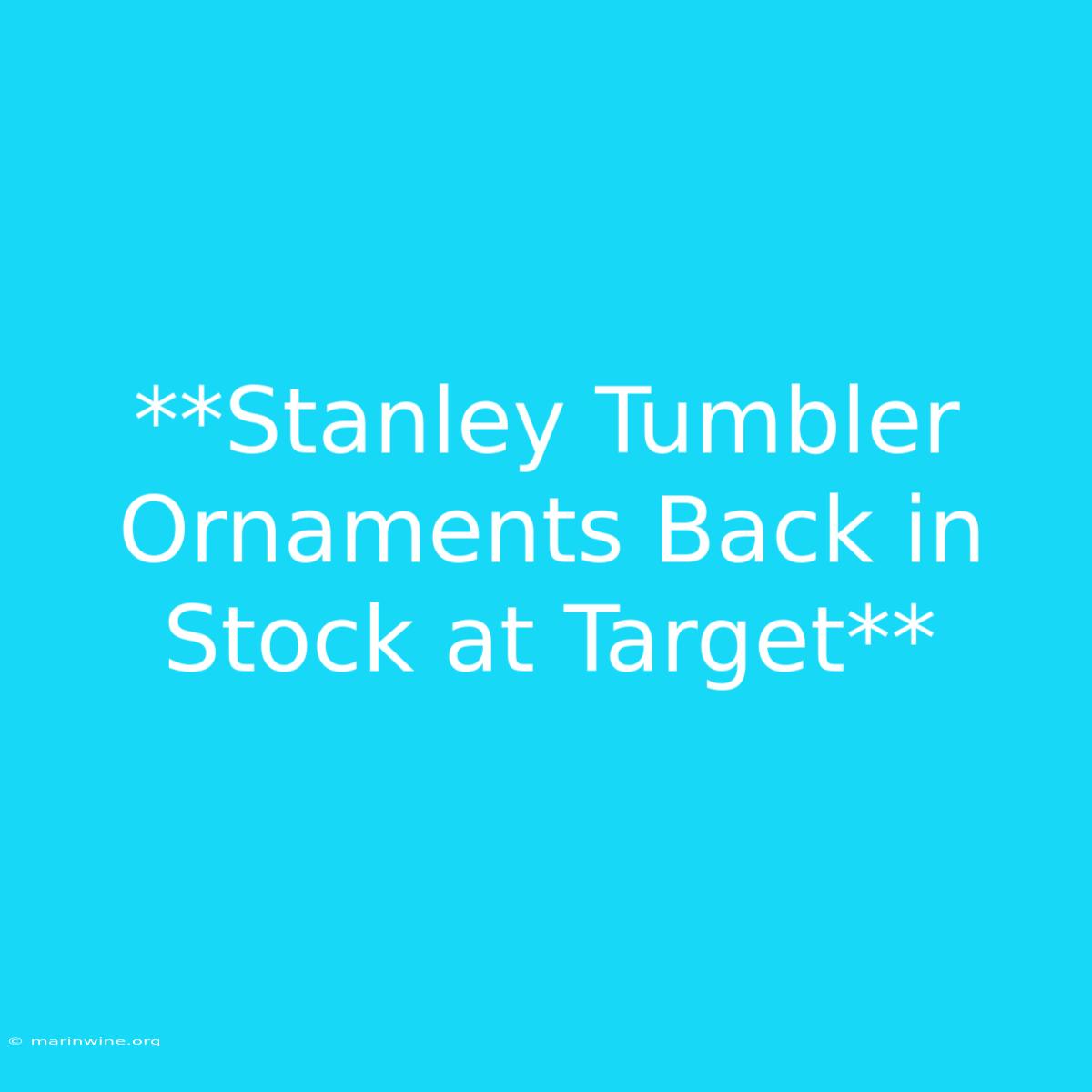 **Stanley Tumbler Ornaments Back In Stock At Target**