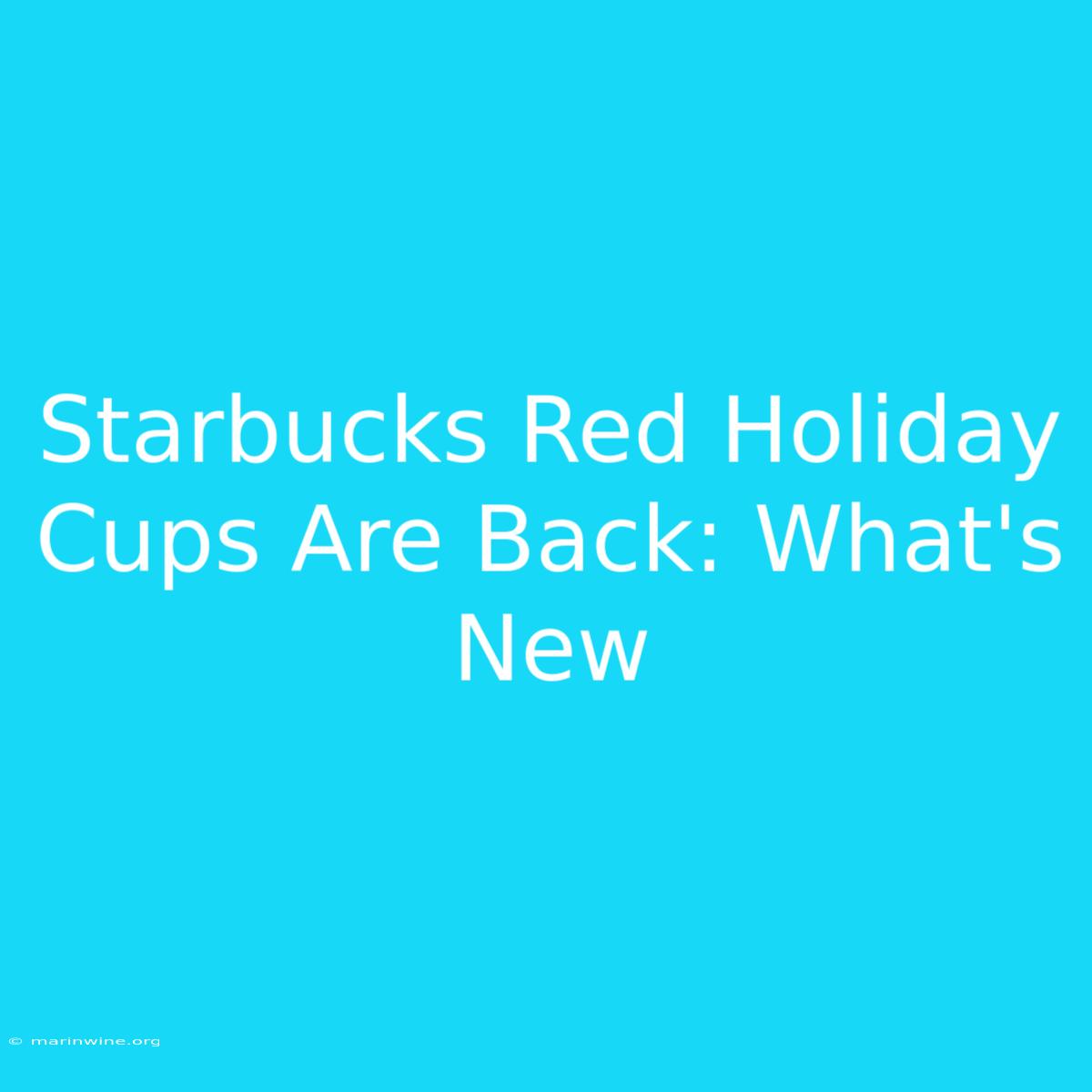 Starbucks Red Holiday Cups Are Back: What's New