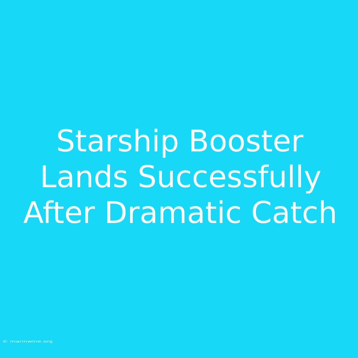 Starship Booster Lands Successfully After Dramatic Catch