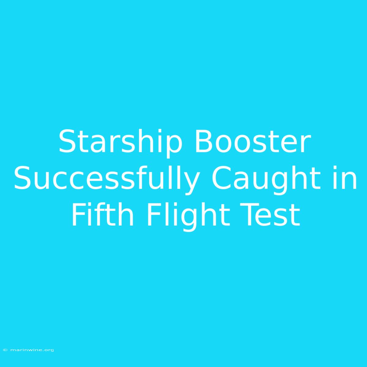 Starship Booster Successfully Caught In Fifth Flight Test