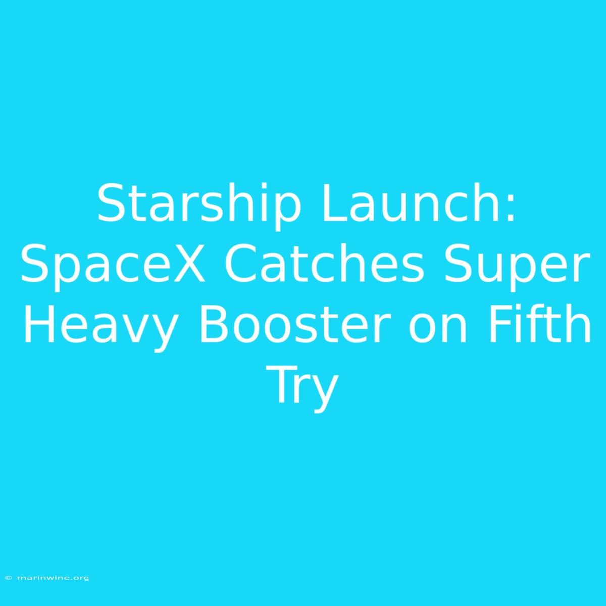 Starship Launch: SpaceX Catches Super Heavy Booster On Fifth Try 