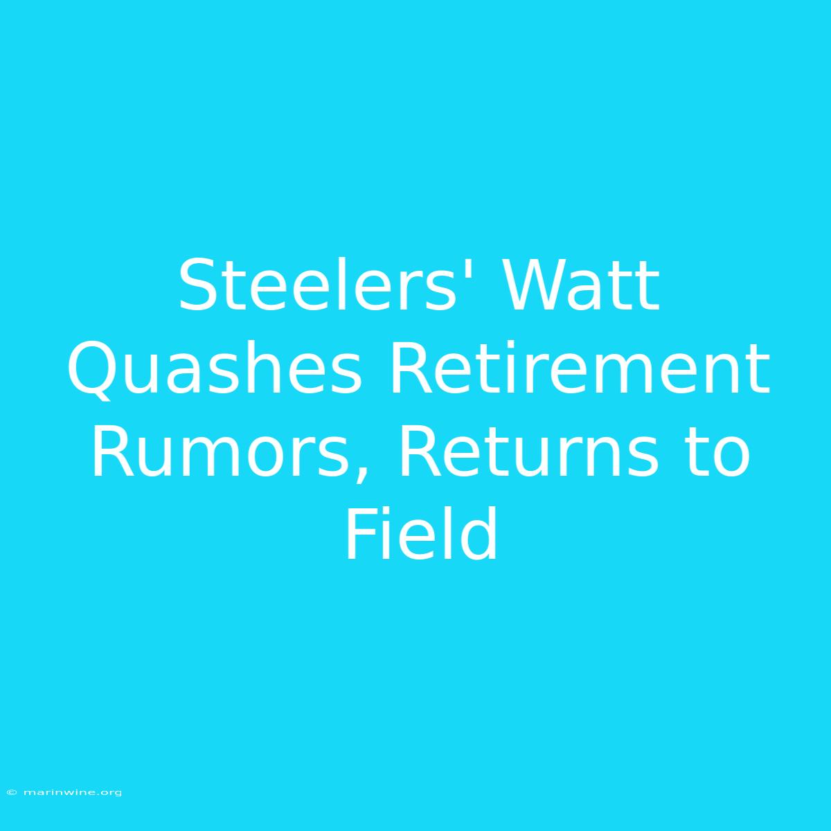 Steelers' Watt Quashes Retirement Rumors, Returns To Field