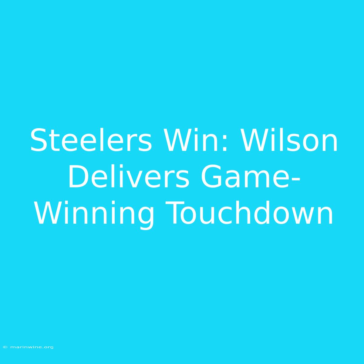 Steelers Win: Wilson Delivers Game-Winning Touchdown