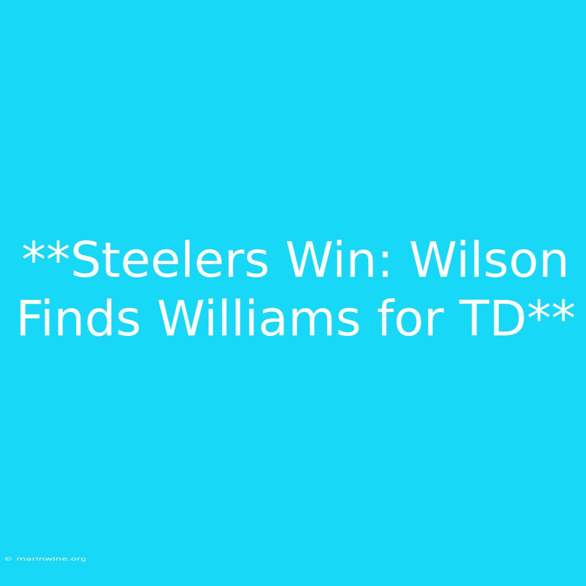 **Steelers Win: Wilson Finds Williams For TD**