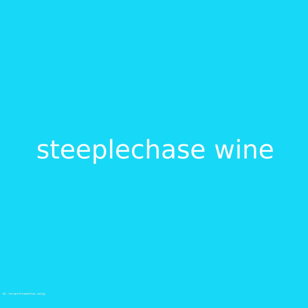 Steeplechase Wine