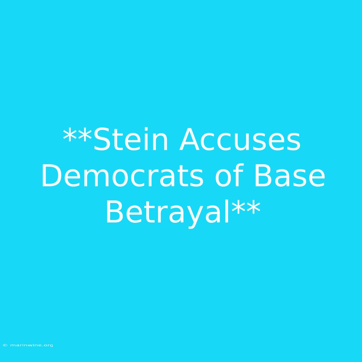 **Stein Accuses Democrats Of Base Betrayal**