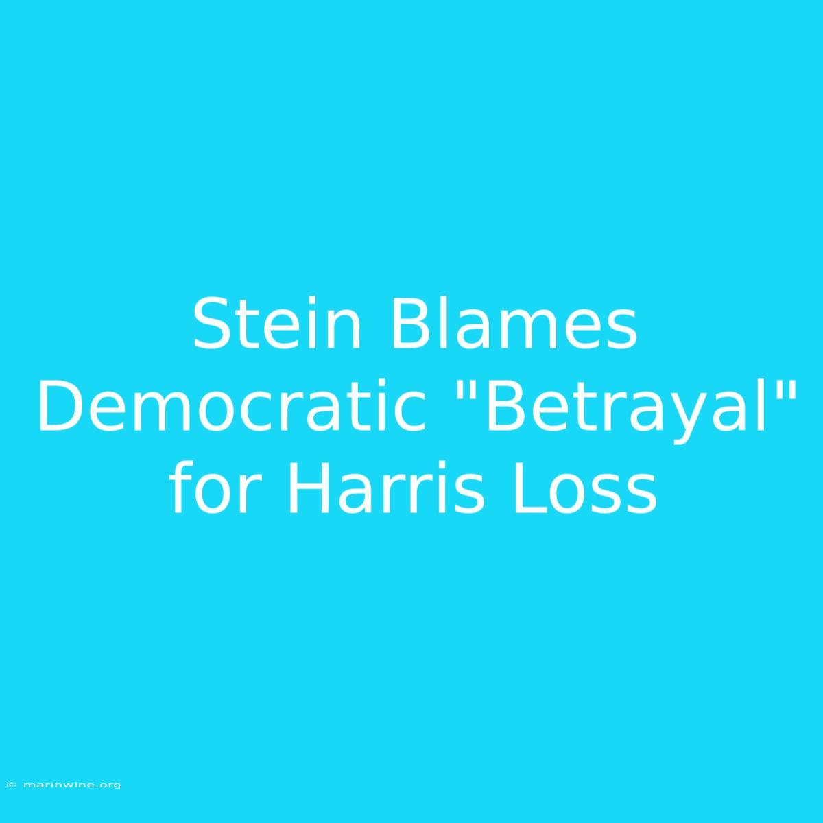 Stein Blames Democratic 