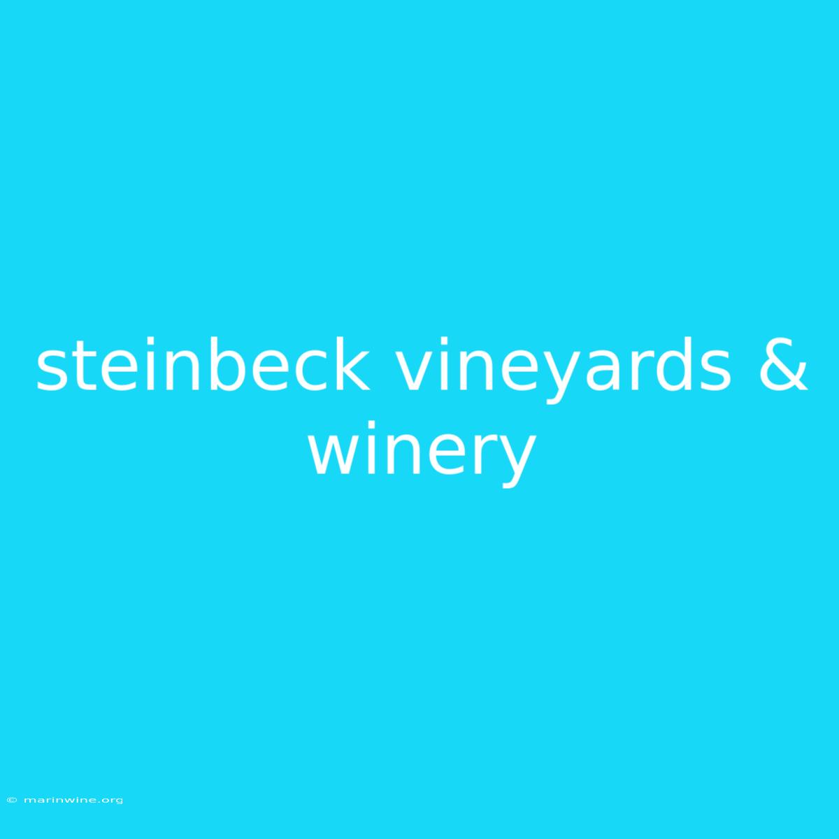 Steinbeck Vineyards & Winery