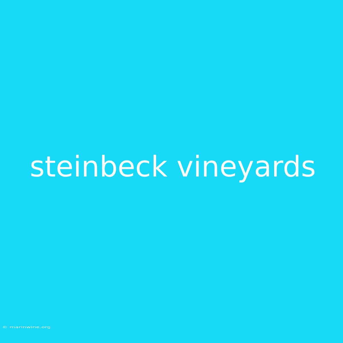 Steinbeck Vineyards