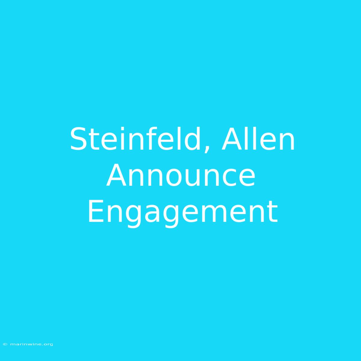 Steinfeld, Allen Announce Engagement