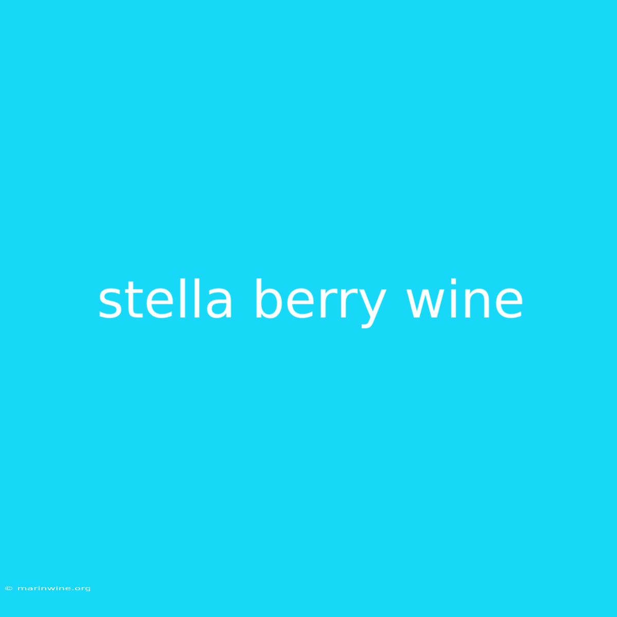 Stella Berry Wine