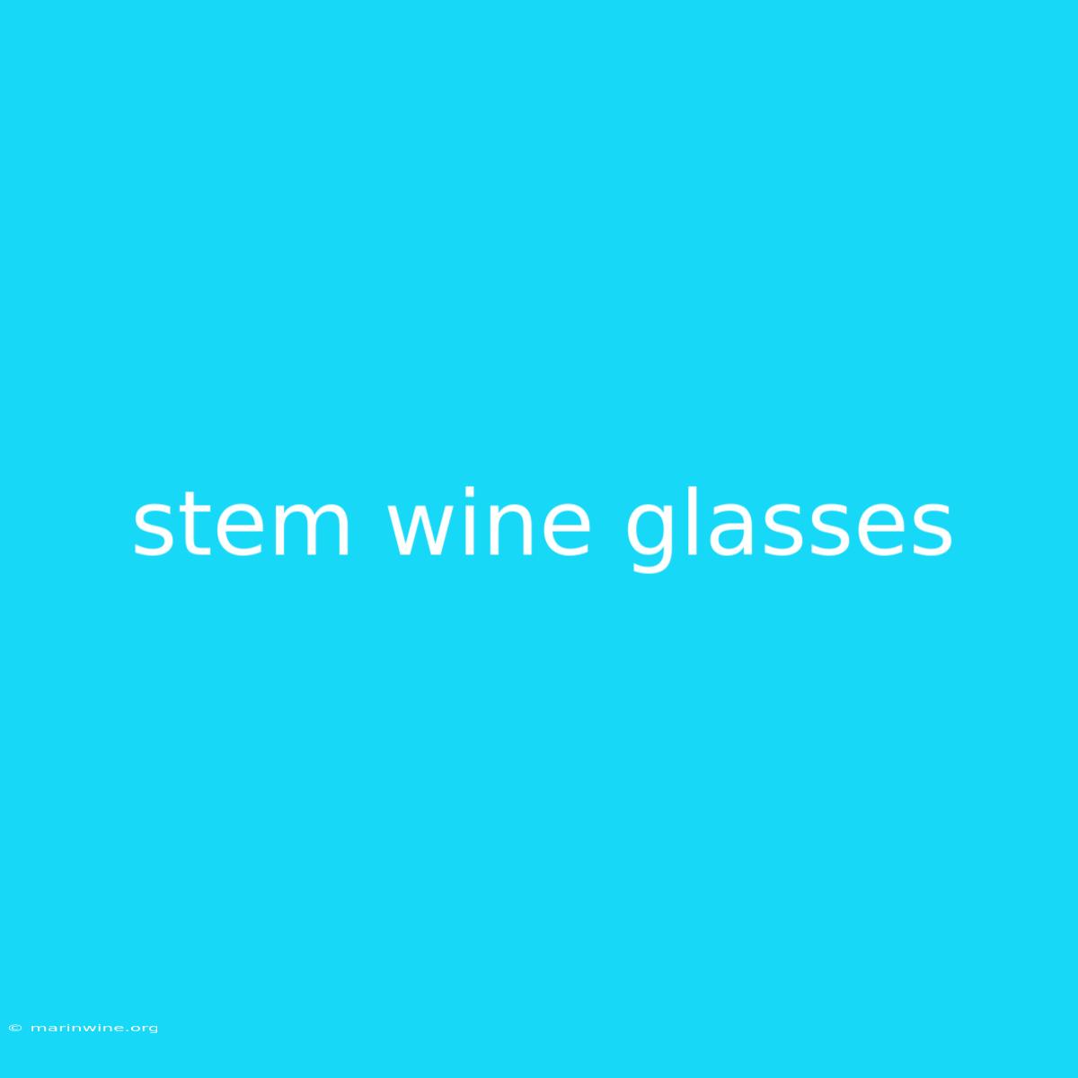 Stem Wine Glasses