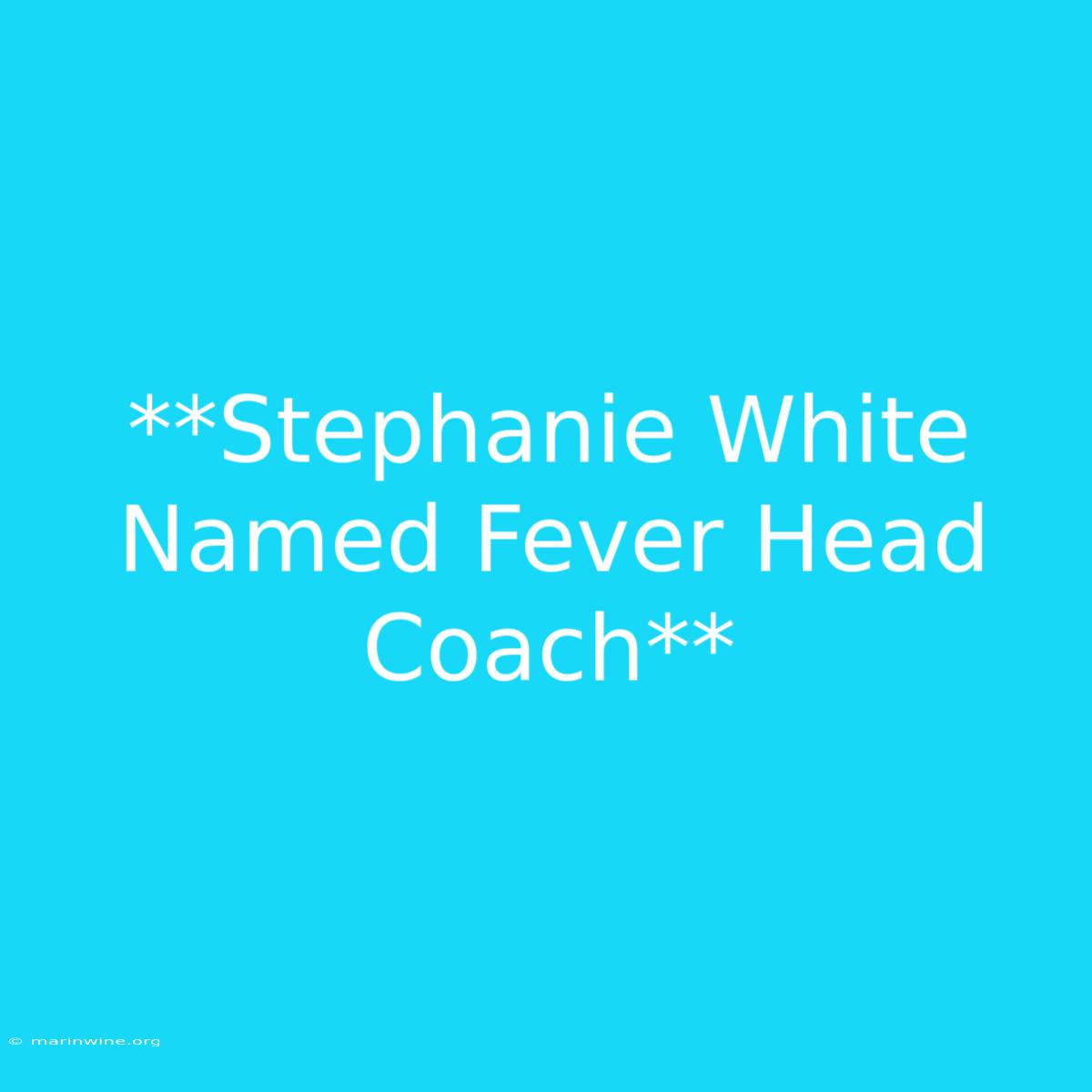 **Stephanie White Named Fever Head Coach**