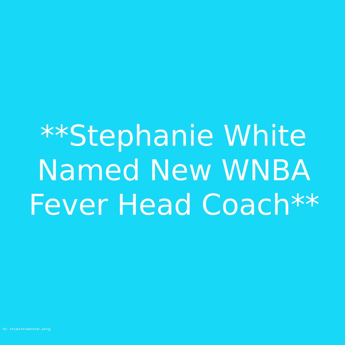 **Stephanie White Named New WNBA Fever Head Coach**