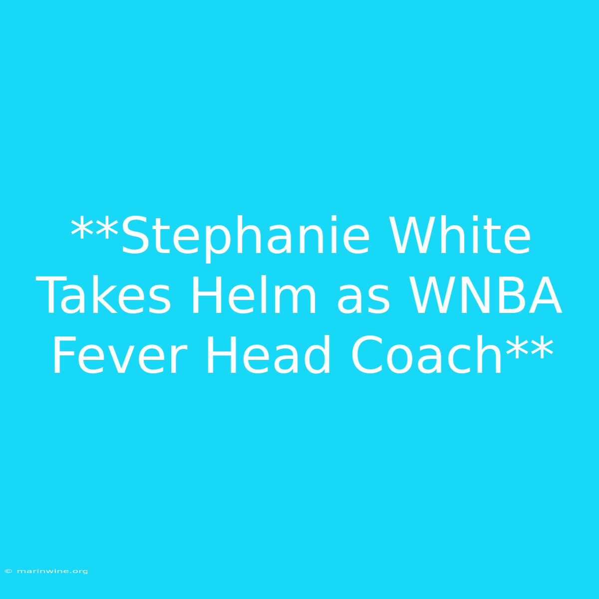 **Stephanie White Takes Helm As WNBA Fever Head Coach** 